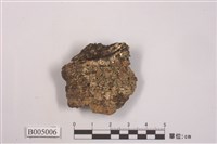 藏品(茶漬衣屬)的圖片